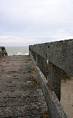 wp8fce2bd1_0f.jpg