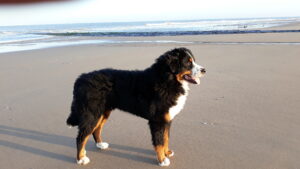 20210204 090851 20210204 090851